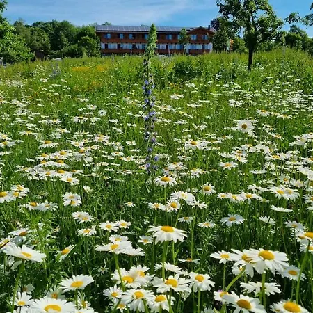 Steig 3* Bad Marienberg