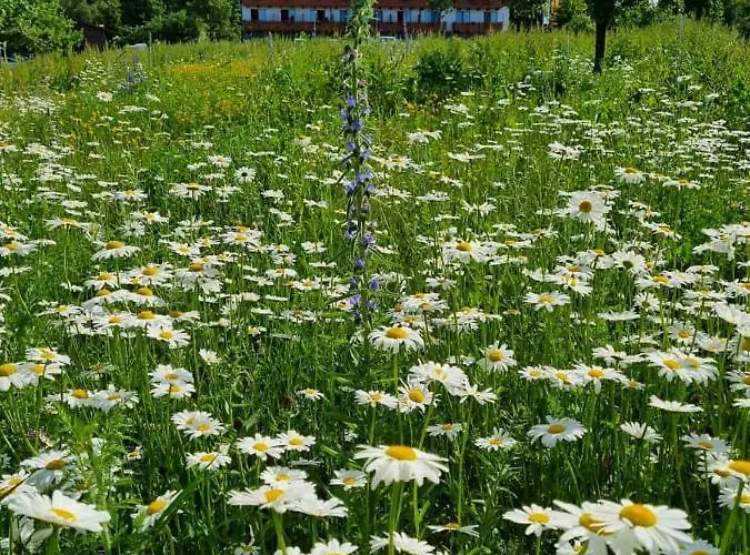 Steig 3* Bad Marienberg